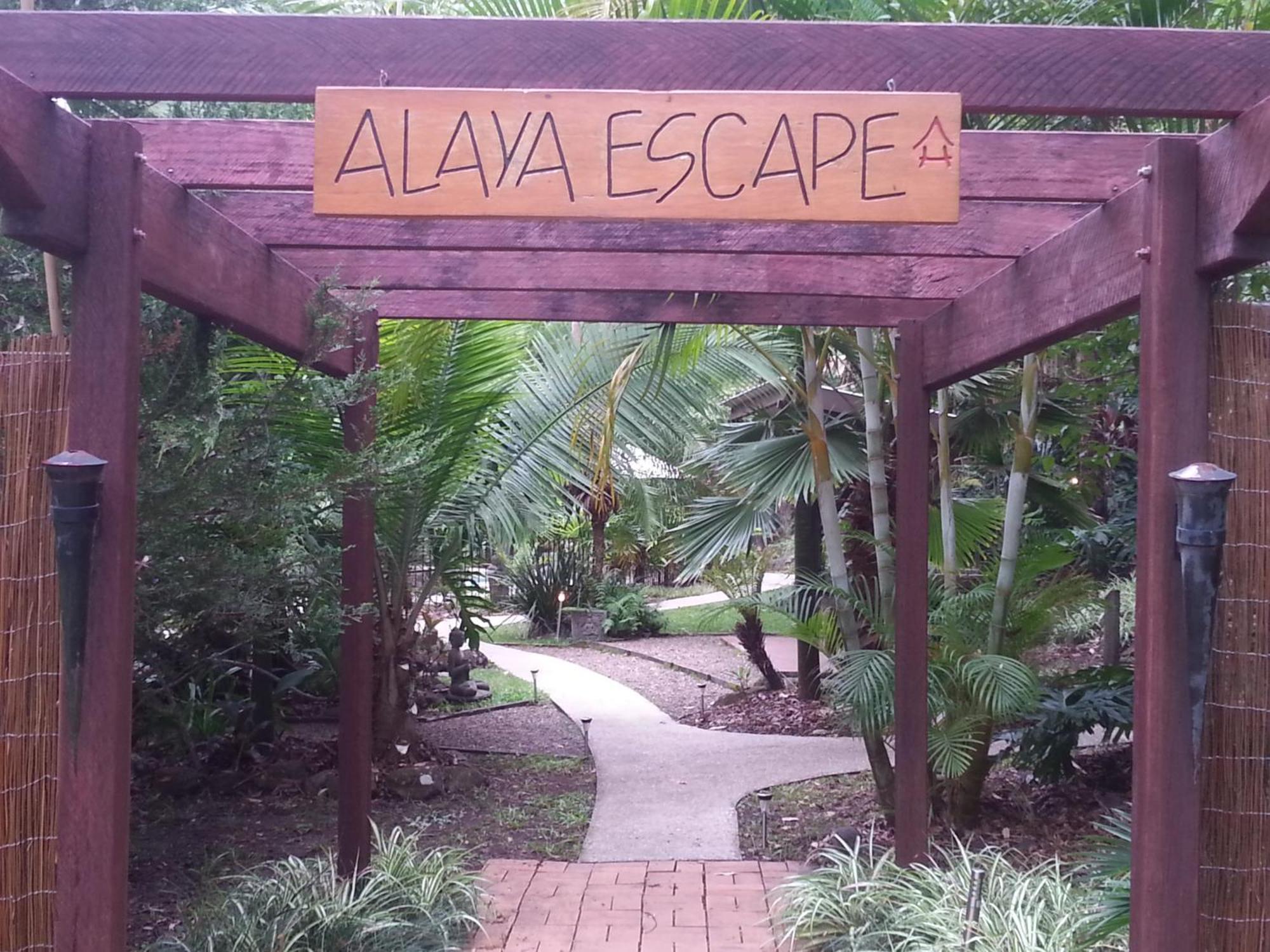 Alaya Escape Bed and Breakfast Eudlo Eksteriør billede